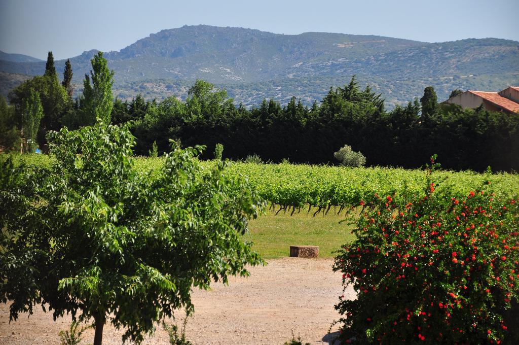 Chateau De Jonquieres - Herault Jonquieres (Herault) Exterior photo